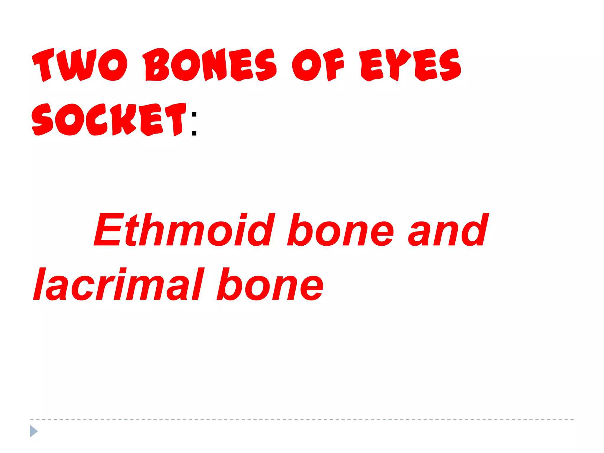 Two bones of eyes
socket:

   Ethmoid bone and
lacrimal bone
 
