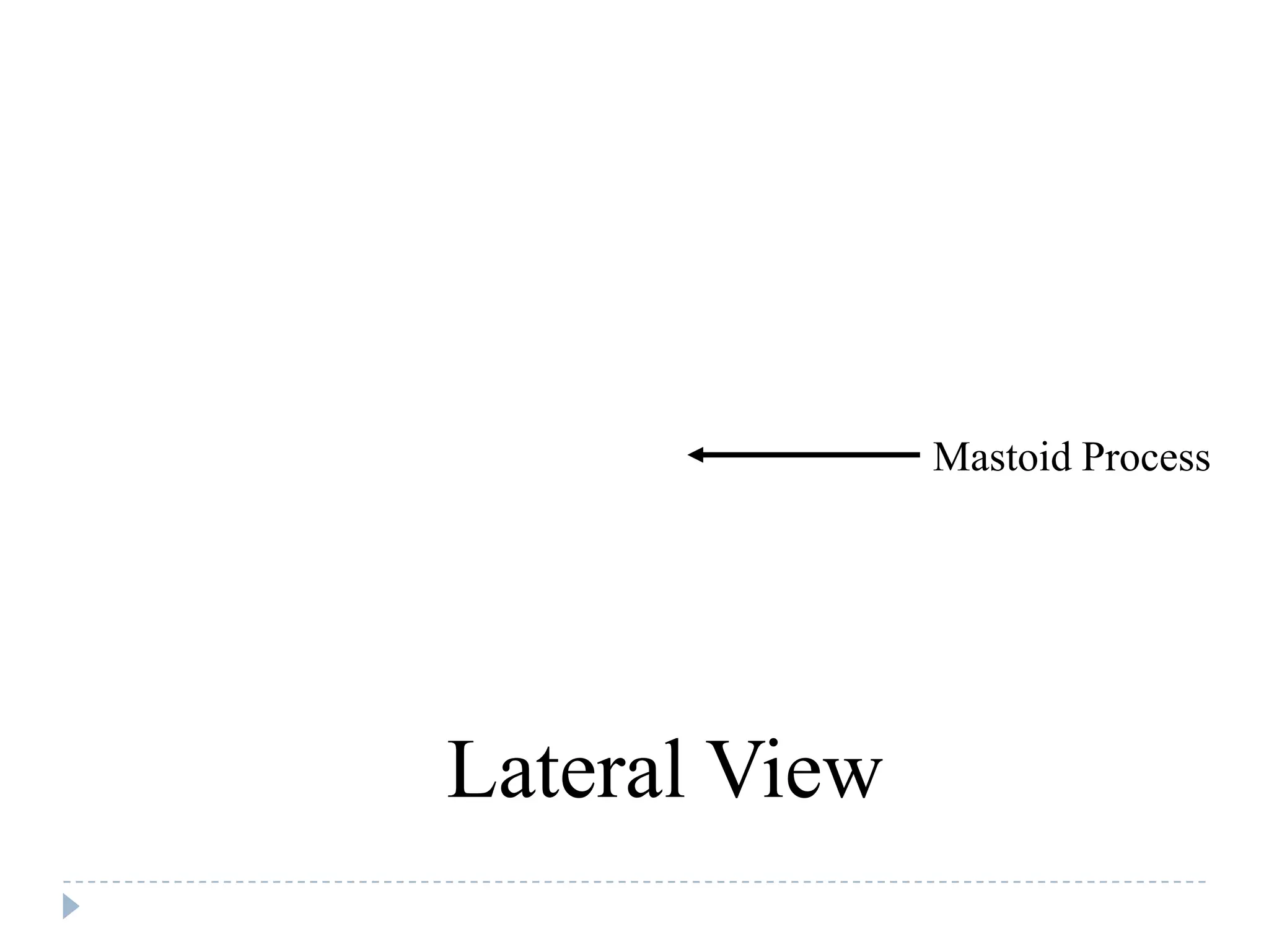 Mastoid Process




Lateral View
 