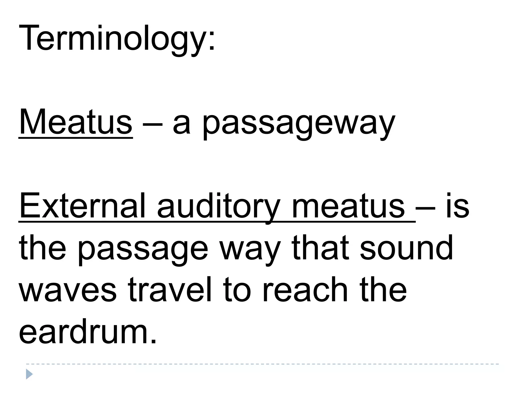 Terminology:

Meatus – a passageway

External auditory meatus – is
the passage way that sound
waves travel to reach the
eardrum.
 
