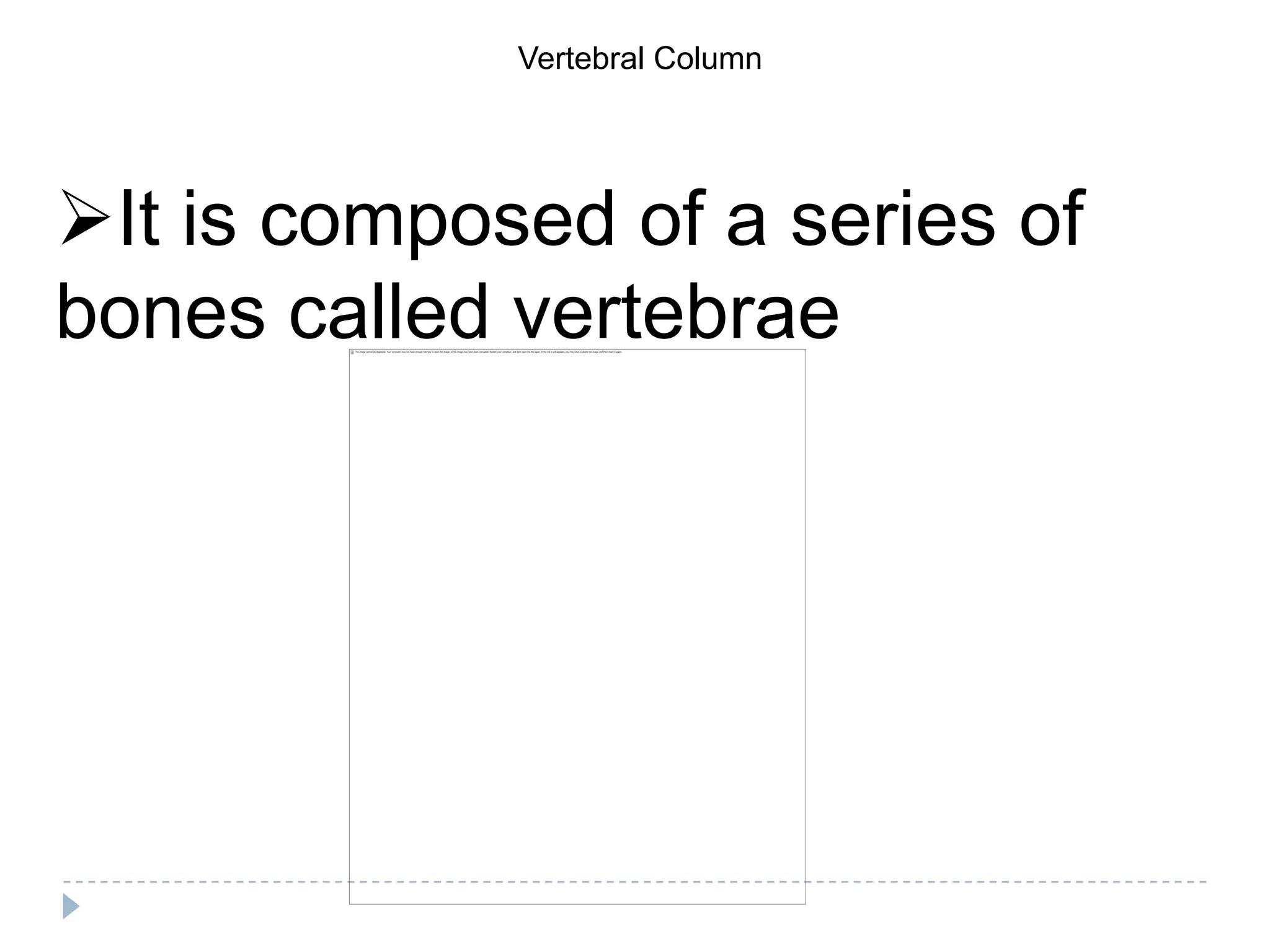 Vertebral Column




It is composed of a series of
bones called vertebrae
 