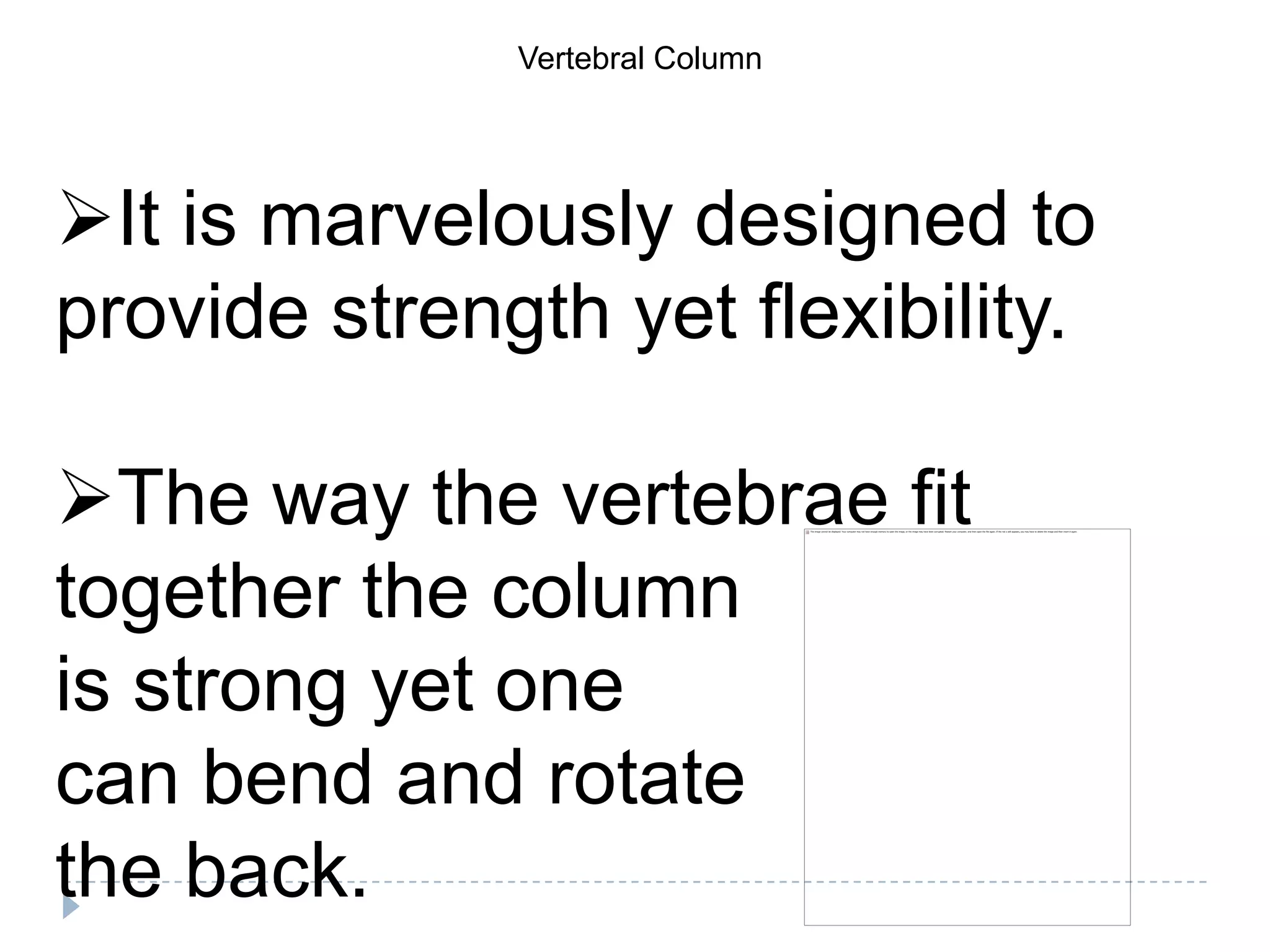 Vertebral Column




It is marvelously designed to
provide strength yet flexibility.

The way the vertebrae fit
together the column
is strong yet one
can bend and rotate
the back.
 
