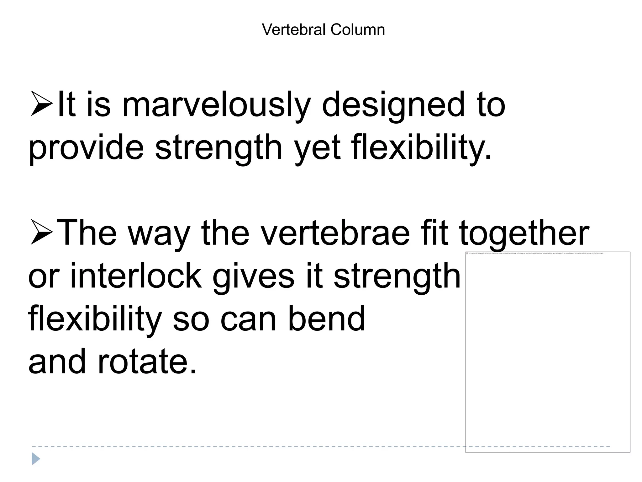 Vertebral Column




It is marvelously designed to
provide strength yet flexibility.

The way the vertebrae fit together
or interlock gives it strength
flexibility so can bend
and rotate.
 