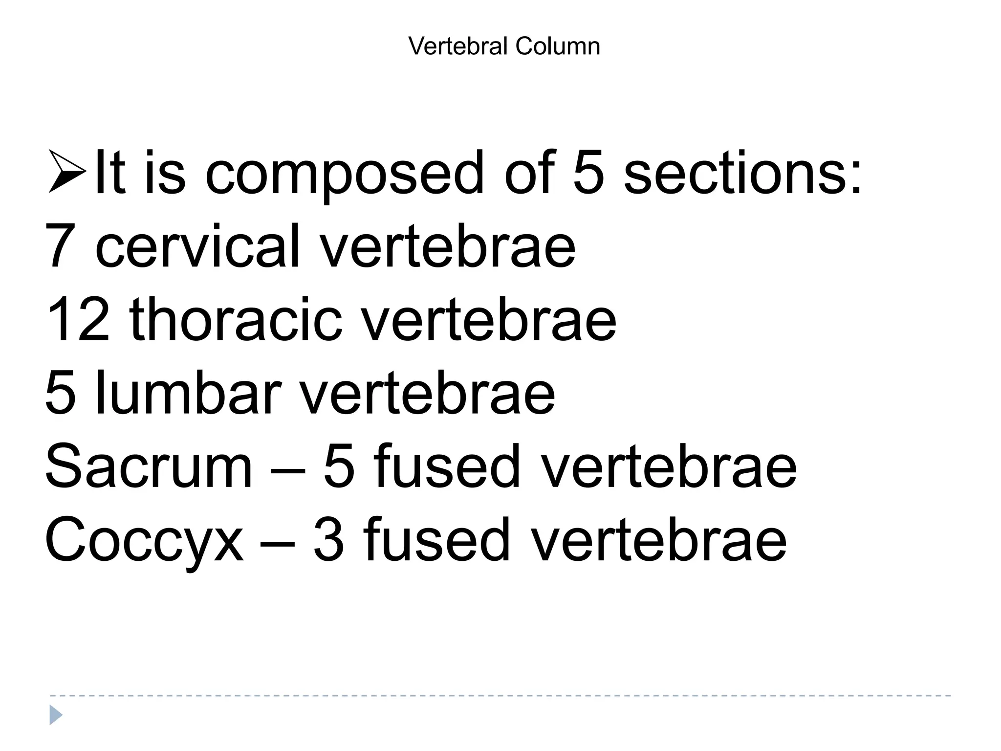 Vertebral Column




It is composed of 5 sections:
7 cervical vertebrae
12 thoracic vertebrae
5 lumbar vertebrae
Sacrum – 5 fused vertebrae
Coccyx – 3 fused vertebrae
 