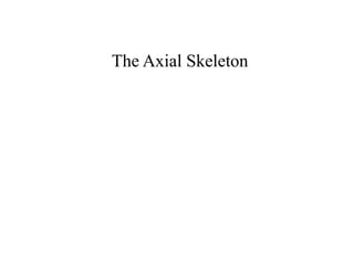 The Axial Skeleton 
 
