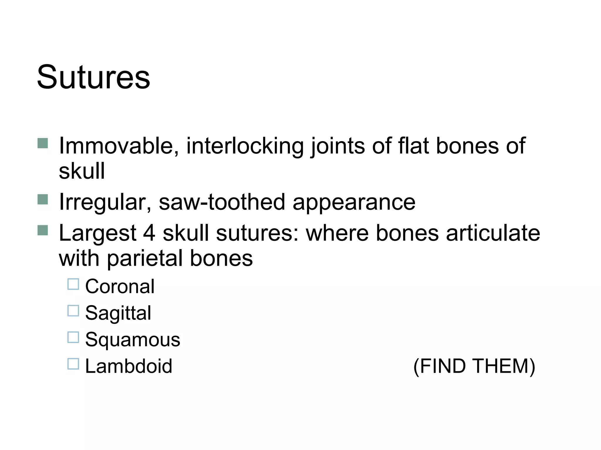Sutures
 Immovable, interlocking joints of flat bones of
skull
 Irregular, saw-toothed appearance
 Largest 4 skull sutures: where bones articulate
with parietal bones
 Coronal
 Sagittal
 Squamous
 Lambdoid (FIND THEM)
 