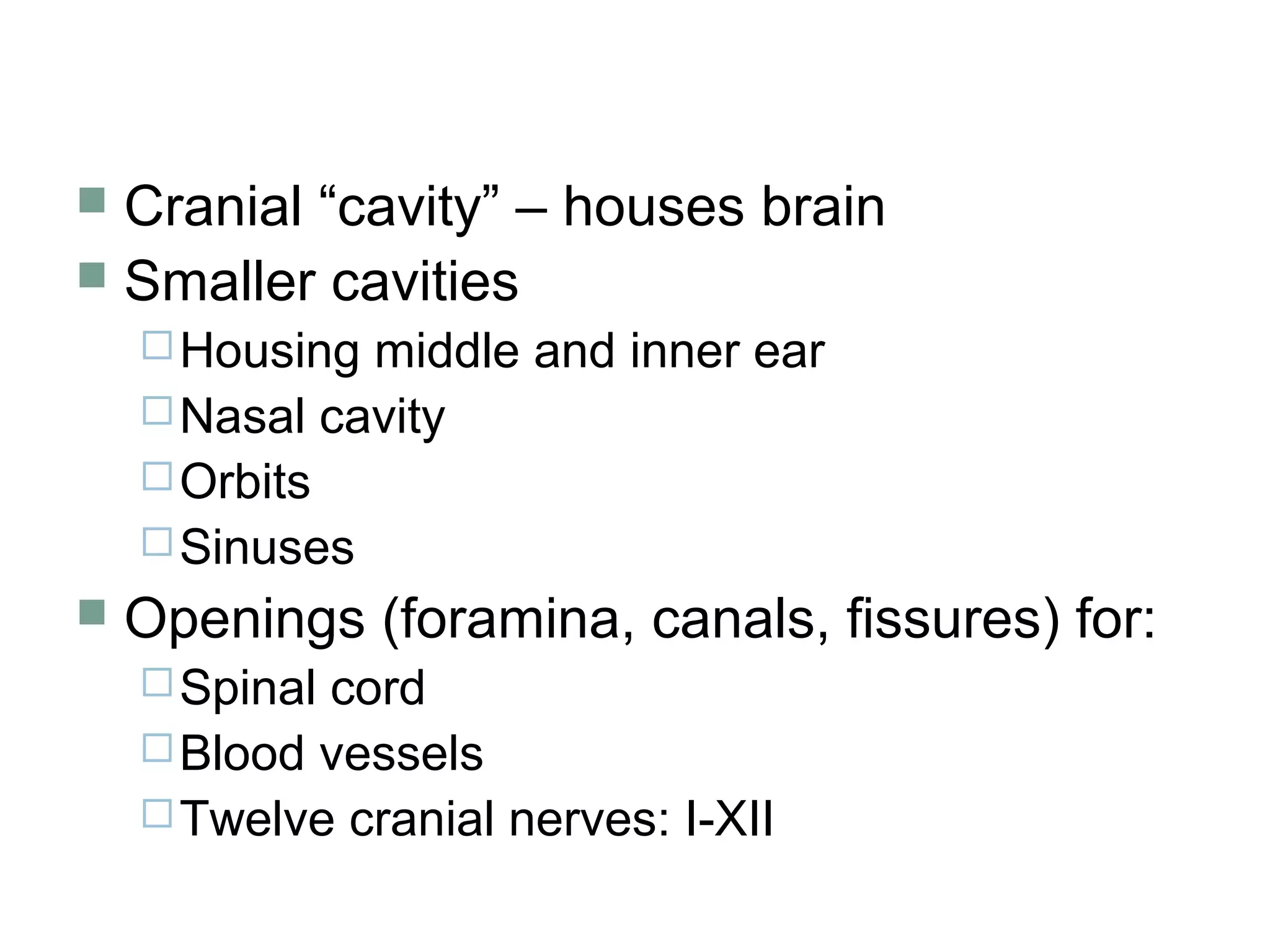  Cranial “cavity” – houses brain
 Smaller cavities
Housing middle and inner ear
Nasal cavity
Orbits
Sinuses
 Openings (foramina, canals, fissures) for:
Spinal cord
Blood vessels
Twelve cranial nerves: I-XII
 