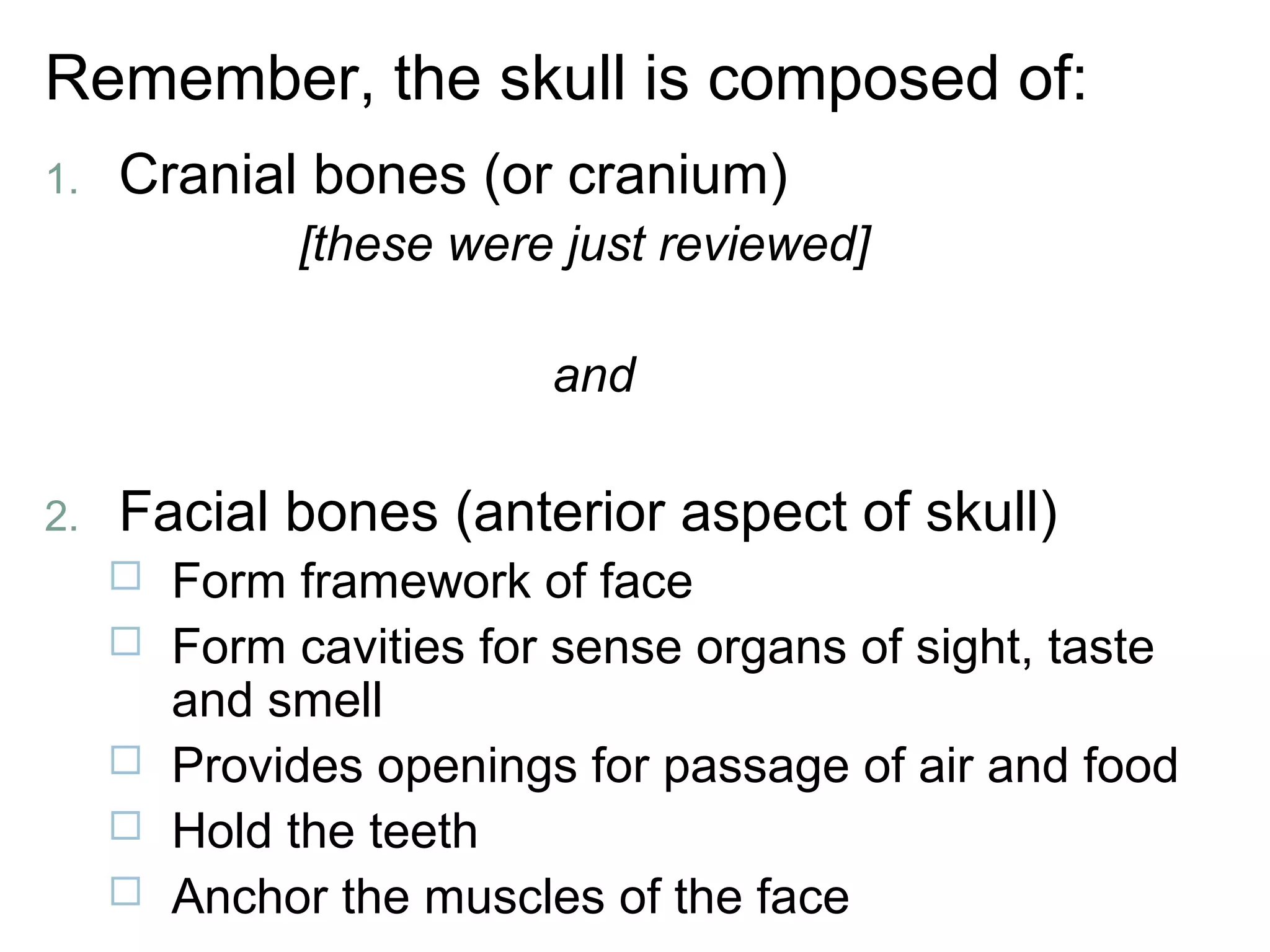 Remember, the skull is composed of:
1. Cranial bones (or cranium)
[these were just reviewed]
and
2. Facial bones (anterior aspect of skull)
 Form framework of face
 Form cavities for sense organs of sight, taste
and smell
 Provides openings for passage of air and food
 Hold the teeth
 Anchor the muscles of the face
 