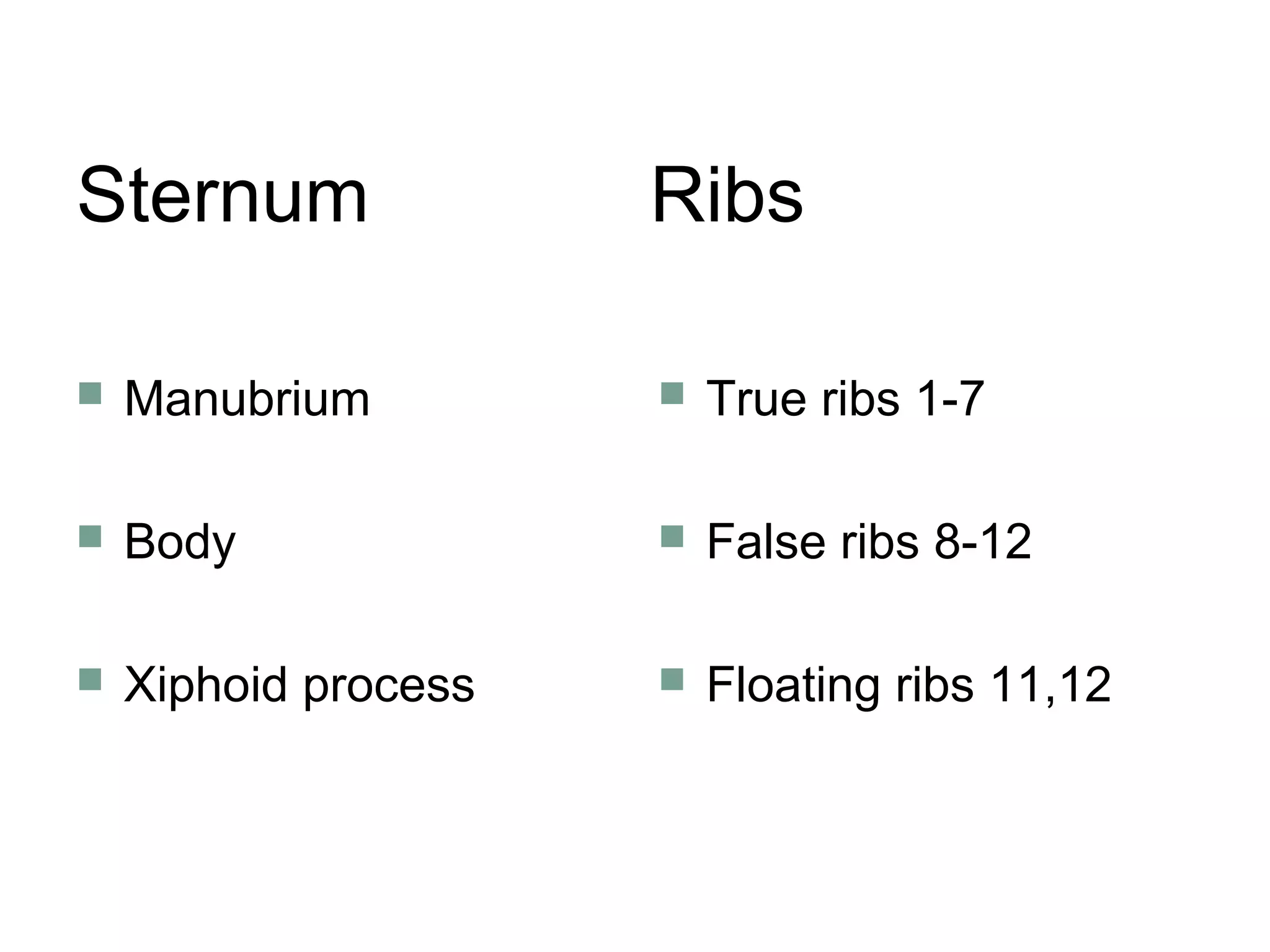 Sternum Ribs
 Manubrium
 Body
 Xiphoid process
 True ribs 1-7
 False ribs 8-12
 Floating ribs 11,12
 