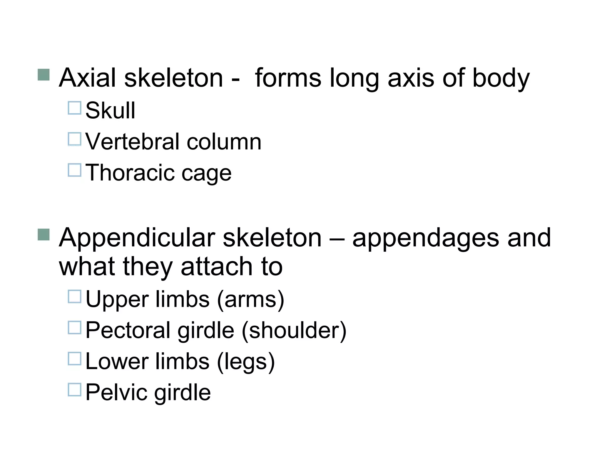  Axial skeleton - forms long axis of body
Skull
Vertebral column
Thoracic cage
 Appendicular skeleton – appendages and
what they attach to
Upper limbs (arms)
Pectoral girdle (shoulder)
Lower limbs (legs)
Pelvic girdle
 