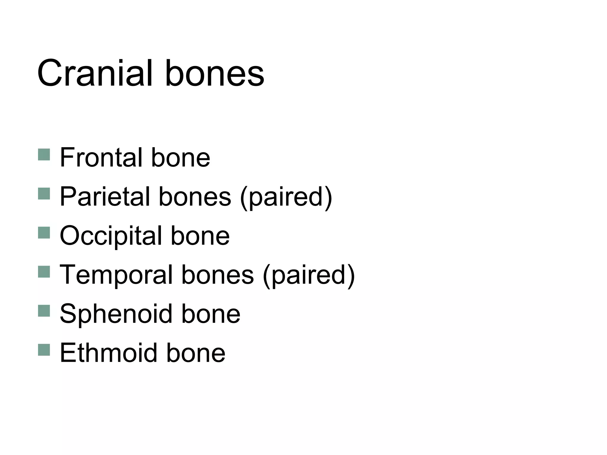 Cranial bones
 Frontal bone
 Parietal bones (paired)
 Occipital bone
 Temporal bones (paired)
 Sphenoid bone
 Ethmoid bone
 
