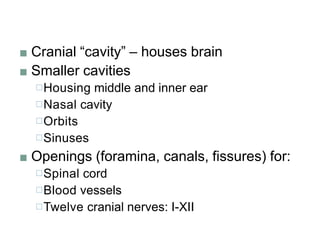 ■ Cranial “cavity” – houses brain
■ Smaller cavities
□Housing middle and inner ear
□Nasal cavity
□Orbits
□Sinuses
■ Openings (foramina, canals, fissures) for:
□Spinal cord
□Blood vessels
□Twelve cranial nerves: I-XII
 