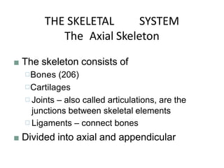 THE SKELETAL SYSTEM
The Axial Skeleton
■ The skeleton consists of
□Bones (206)
□Cartilages
□ Joints – also called articulations, are the
junctions between skeletal elements
□ Ligaments – connect bones
■ Divided into axial and appendicular
 