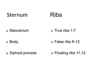 Sternum Ribs
■ Manubrium
■ Body
■ Xiphoid process
■ True ribs 1-7
■ False ribs 8-12
■ Floating ribs 11,12
 