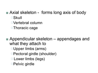 ■ Axial skeleton - forms long axis of body
□Skull
□Vertebral column
□Thoracic cage
■ Appendicular skeleton – appendages and
what they attach to
□Upper limbs (arms)
□Pectoral girdle (shoulder)
□ Lower limbs (legs)
□Pelvic girdle
 