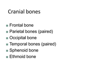 Cranial bones
■ Frontal bone
■ Parietal bones (paired)
■ Occipital bone
■ Temporal bones (paired)
■ Sphenoid bone
■ Ethmoid bone
 