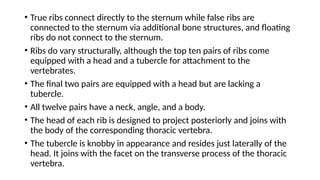 Axial Skeleton, Skeletal system, Types of bone | PPTX