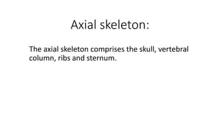 Axial skeleton:
The axial skeleton comprises the skull, vertebral
column, ribs and sternum.
 