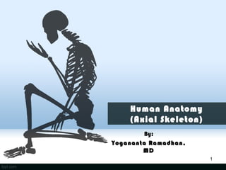 Human Anatomy
(Axial Skeleton)
By:
Yogananta Ramadhan,
MD
1

 