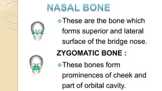 AXIAL SKELETON PPT by 4th year bsc nursing | PPTX