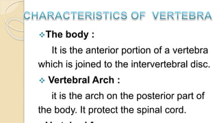 AXIAL SKELETON PPT by 4th year bsc nursing | PPTX