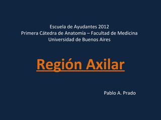 Escuela de Ayudantes 2012
Primera Cátedra de Anatomía – Facultad de Medicina
            Universidad de Buenos Aires




      Región Axilar
                                   Pablo A. Prado
 
