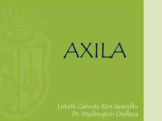 AXILA
Lisbeth Gabriela Ríos Jaramillo
Dr. Washington Orellana

 