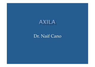Dr. Naif Cano 
 