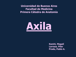 Universidad de Buenos Aires
Facultad de Medicina
Primera Cátedra de Anatomía
Axila
Kamhi, Magalí
Larraza, Pilar
Prado, Pablo A.
 