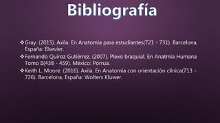 Gray. (2015). Axila. En Anatomía para estudiantes(721 - 731). Barcelona,
España: Elsevier.
Fernando Quiroz Gutiérrez. (2007). Plexo braquial. En Anatmía Humana
Tomo II(438 - 459). México: Porrua.
Keith L. Moore. (2016). Axila. En Anatomía con orientación clínica(713 -
726). Barcelona, España: Wolters Kluwer.
 
