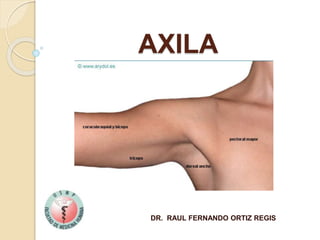AXILA
DR. RAUL FERNANDO ORTIZ REGIS
 