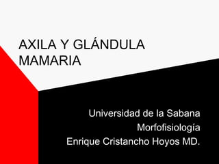 AXILA Y GLÁNDULA
MAMARIA
Universidad de la Sabana
Morfofisiología
Enrique Cristancho Hoyos MD.
 