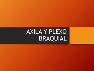 AXILA Y PLEXO
BRAQUIAL
 