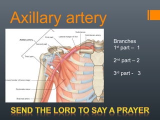 Axillary artery
Branches
1st
part – 1
2nd
part – 2
3rd
part - 3
 