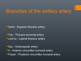 Branches of the axillary artery
1
Send - Superior thoracic artery
2
The - Thoraco-acromial artery
Lord to - Lateral thoracic artery
3
Say - Subscapular artery
A - Anterior circumflex humeral artery
Prayer - Posterior circumflex humeral artery
 
