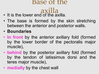 Base of the
axilla• It is the lower end of the axilla.
• The base is formed by the skin stretching
between the anterior and posterior walls.
• Boundaries
• In front by the anterior axillary fold (formed
by the lower border of the pectoralis major
muscle),
• behind by the posterior axillary fold (formed
by the tendon of latissimus dorsi and the
teres major muscle),
• medially by the chest wall
 