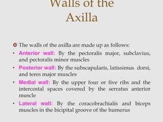  The walls of the axilla are made up as follows:
• Anterior wall: By the pectoralis major, subclavius,
and pectoralis minor muscles
• Posterior wall: By the subscapularis, latissimus dorsi,
and teres major muscles
• Medial wall: By the upper four or five ribs and the
intercostal spaces covered by the serratus anterior
muscle
• Lateral wall: By the coracobrachialis and biceps
muscles in the bicipital groove of the humerus
Walls of the
Axilla
 