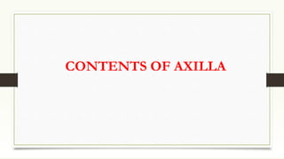 CONTENTS OF AXILLA
 