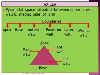  Pyramidal space situated between upper chest
wall & medial side of arm
Boundaries
Apex Base Anterior
wall
Posterior
wall
Lateral
wall
Medial
wall
Apex
Base
Ant.
wall
Post .
wall
Lat.
wall
Dr. Sarika S. Chopde, TAMV, Pune
 