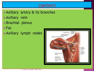  Axillary artery & its branches
 Axillary vein
 Brachial plexus
 Fat
 Axillary lymph nodes
Dr. Sarika S. Chopde, TAMV, Pune
 