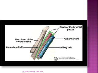 Dr. Sarika S. Chopde, TAMV, Pune
 