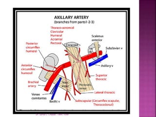 Dr. Sarika S. Chopde, TAMV, Pune
 