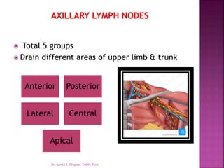  Total 5 groups
 Drain different areas of upper limb & trunk
Anterior Posterior
Lateral Central
Apical
Dr. Sarika S. Chopde, TAMV, Pune
 
