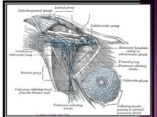 Dr. Sarika S. Chopde, TAMV, Pune
 