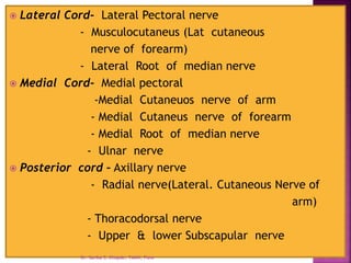  Lateral Cord- Lateral Pectoral nerve
- Musculocutaneus (Lat cutaneous
nerve of forearm)
- Lateral Root of median nerve
 Medial Cord- Medial pectoral
-Medial Cutaneuos nerve of arm
- Medial Cutaneus nerve of forearm
- Medial Root of median nerve
- Ulnar nerve
 Posterior cord – Axillary nerve
- Radial nerve(Lateral. Cutaneous Nerve of
arm)
- Thoracodorsal nerve
- Upper & lower Subscapular nerve
Dr. Sarika S. Chopde, TAMV, Pune
 