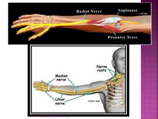 Dr. Sarika S. Chopde, TAMV, Pune
 