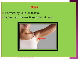  Formed by Skin & fascia.
 Larger at thorax & narrow at arm
Base
Dr. Sarika S. Chopde, TAMV, Pune
 