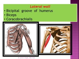 Lateral wall
• Bicipital groove of humerus
• Biceps
• Coracobrachialis
Dr. Sarika S. Chopde, TAMV, Pune
 