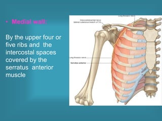 Axillar Ribs Axilla.pptx