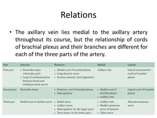 Relations
• The axillary vein lies medial to the axillary artery
throughout its course, but the relationship of cords
of brachial plexus and their branches are different for
each of the three parts of the artery.
 