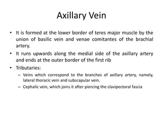 Axillary Vein
• It is formed at the lower border of teres major muscle by the
union of basilic vein and venae comitantes of the brachial
artery.
• It runs upwards along the medial side of the axillary artery
and ends at the outer border of the first rib
• Tributaries:
– Veins which correspond to the branches of axillary artery, namely,
lateral thoracic vein and subscapular vein.
– Cephalic vein, which joins it after piercing the clavipectoral fascia
 